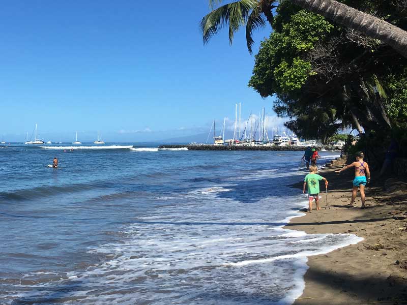 lahaina-town-clean-up